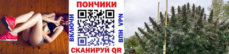 МАРИХУАНА Ganja  Лаишево 